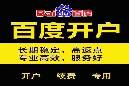 竞价开户案例揭秘：如何实现精准投放